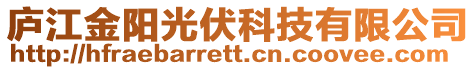 廬江金陽光伏科技有限公司