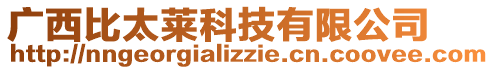 廣西比太萊科技有限公司