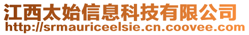 江西太始信息科技有限公司