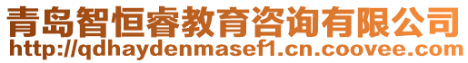 青島智恒睿教育咨詢有限公司
