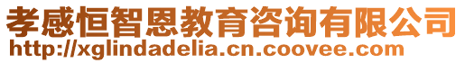 孝感恒智恩教育咨詢有限公司