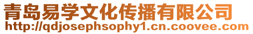 青島易學文化傳播有限公司
