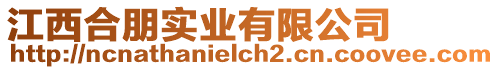 江西合朋實業有限公司