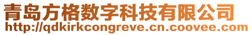 青島方格數字科技有限公司