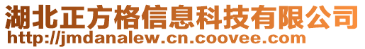 湖北正方格信息科技有限公司