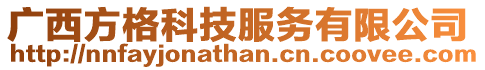 廣西方格科技服務有限公司
