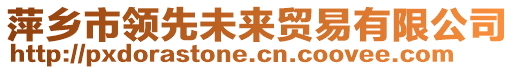 萍鄉(xiāng)市領(lǐng)先未來貿(mào)易有限公司