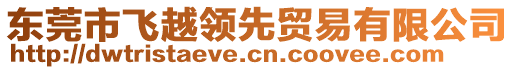 東莞市飛越領(lǐng)先貿(mào)易有限公司