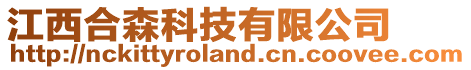 江西合森科技有限公司