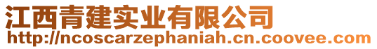 江西青建實業(yè)有限公司