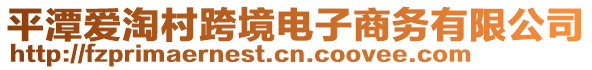 平潭爱淘村跨境电子商务有限公司