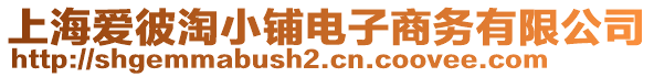 上海爱彼淘小铺电子商务有限公司