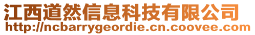 江西道然信息科技有限公司