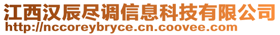 江西漢辰盡調(diào)信息科技有限公司