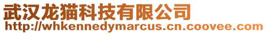 武漢龍貓科技有限公司
