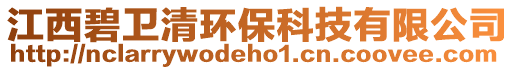江西碧衛(wèi)清環(huán)保科技有限公司