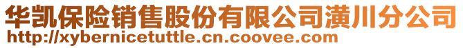 華凱保險銷售股份有限公司潢川分公司