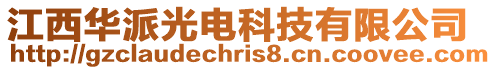 江西華派光電科技有限公司