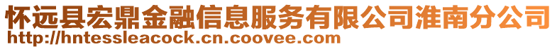懷遠縣宏鼎金融信息服務有限公司淮南分公司