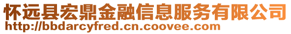 懷遠縣宏鼎金融信息服務有限公司