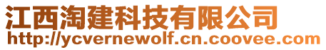 江西淘建科技有限公司