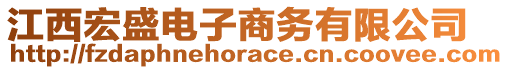 江西宏盛電子商務(wù)有限公司