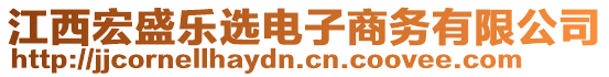 江西宏盛樂選電子商務有限公司