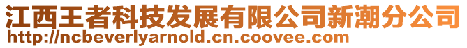 江西王者科技發(fā)展有限公司新潮分公司