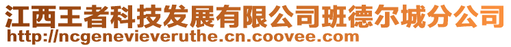 江西王者科技發(fā)展有限公司班德爾城分公司