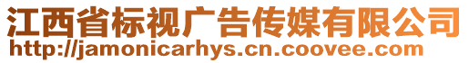 江西省標視廣告傳媒有限公司
