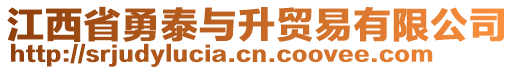 江西省勇泰與升貿(mào)易有限公司