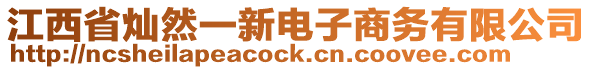 江西省燦然一新電子商務(wù)有限公司