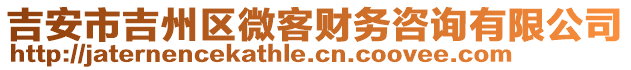 吉安市吉州區(qū)微客財務咨詢有限公司