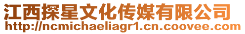 江西探星文化傳媒有限公司