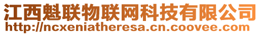 江西魁聯(lián)物聯(lián)網(wǎng)科技有限公司