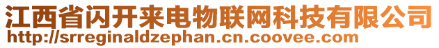 江西省闪开来电物联网科技有限公司