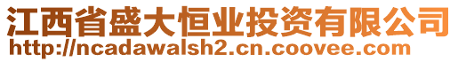 江西省盛大恒業(yè)投資有限公司