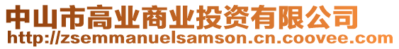 中山市高業(yè)商業(yè)投資有限公司