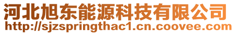 河北旭東能源科技有限公司