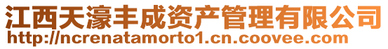 江西天濠豐成資產管理有限公司