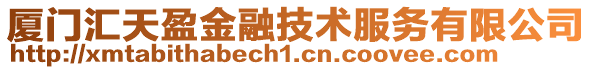 廈門匯天盈金融技術(shù)服務(wù)有限公司