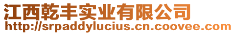 江西乾豐實業(yè)有限公司