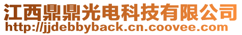 江西鼎鼎光電科技有限公司