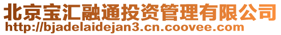 北京寶匯融通投資管理有限公司