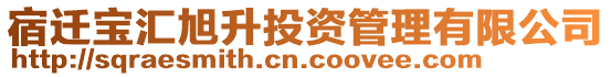 宿遷寶匯旭升投資管理有限公司