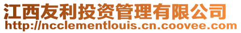 江西友利投資管理有限公司