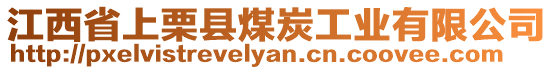 江西省上栗縣煤炭工業(yè)有限公司