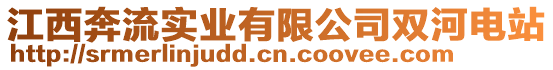 江西奔流實業(yè)有限公司雙河電站