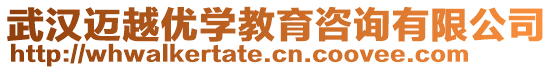 武漢邁越優(yōu)學(xué)教育咨詢有限公司