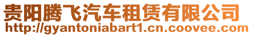 貴陽騰飛汽車租賃有限公司